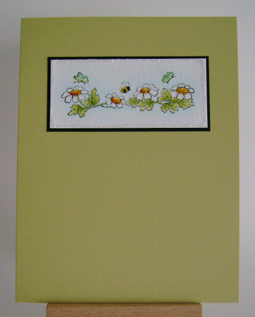 daisies with two butterflies and a bee