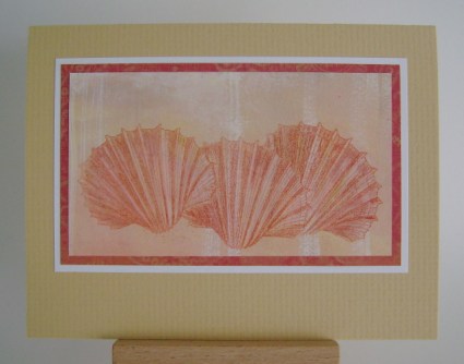 shells three sea shells