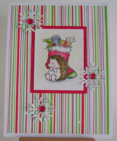 pbsc118 hedgie sleeping next to red christmas stocking full of gifts