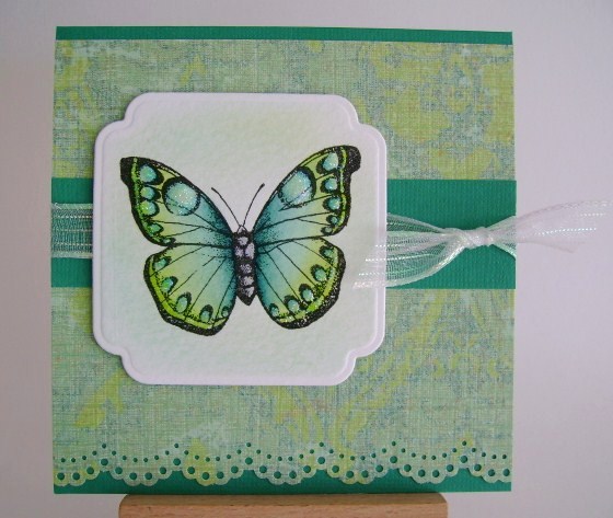 casbfly blue and green butterfly on blue green paper
