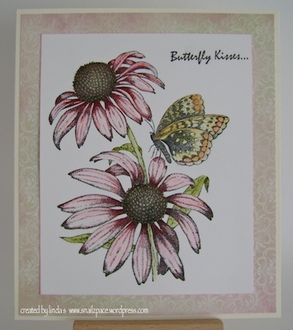 pink coneflowers with orange butterfly and butterfly kisses sentiment