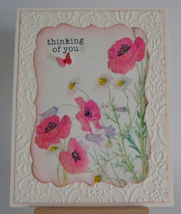 poppy field with daisies and butterfly along with thinking of you sentiment