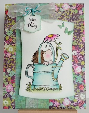 card with penny black hedgehog in a blue green watering can looking up at a pink daisy