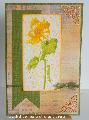 Penny Black Sunflower