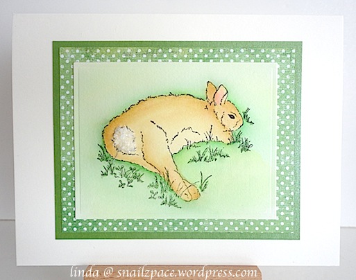 Impression Obsession Resting Rabbit