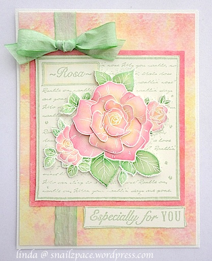 CB Rose Collage Linda