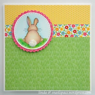 Taylored Expression bunny