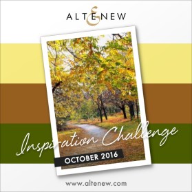 october2016_altenewinspiraitonchallenge_sveta