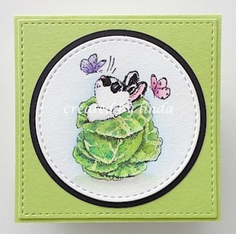 copyright linda@snailzpace.wordpress.com penny black bunny in cabbage-1