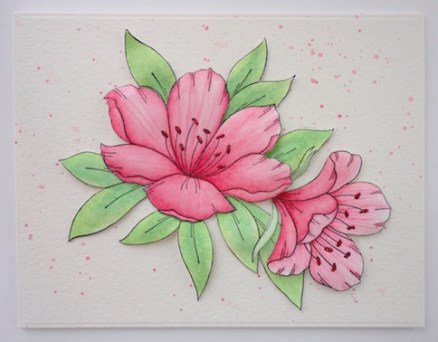 copyright linda snailzpace.wordpress.com