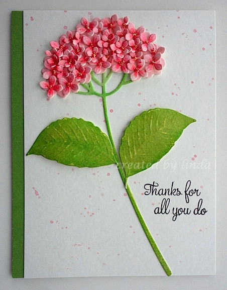 IO hydrangea copyright linda snailzpace.wordpress.com-1