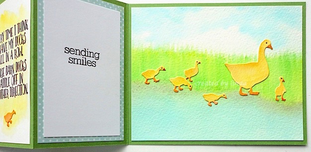 impression obsession ducks inside copyright linda snailzpace.wordpress.com-1