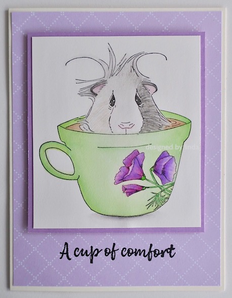 purple and green card with impression obsession guinea pig in teacup copyright Linda snailzpace.com