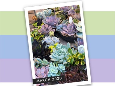 Altenew March 2020 Inspiration cool colour palette